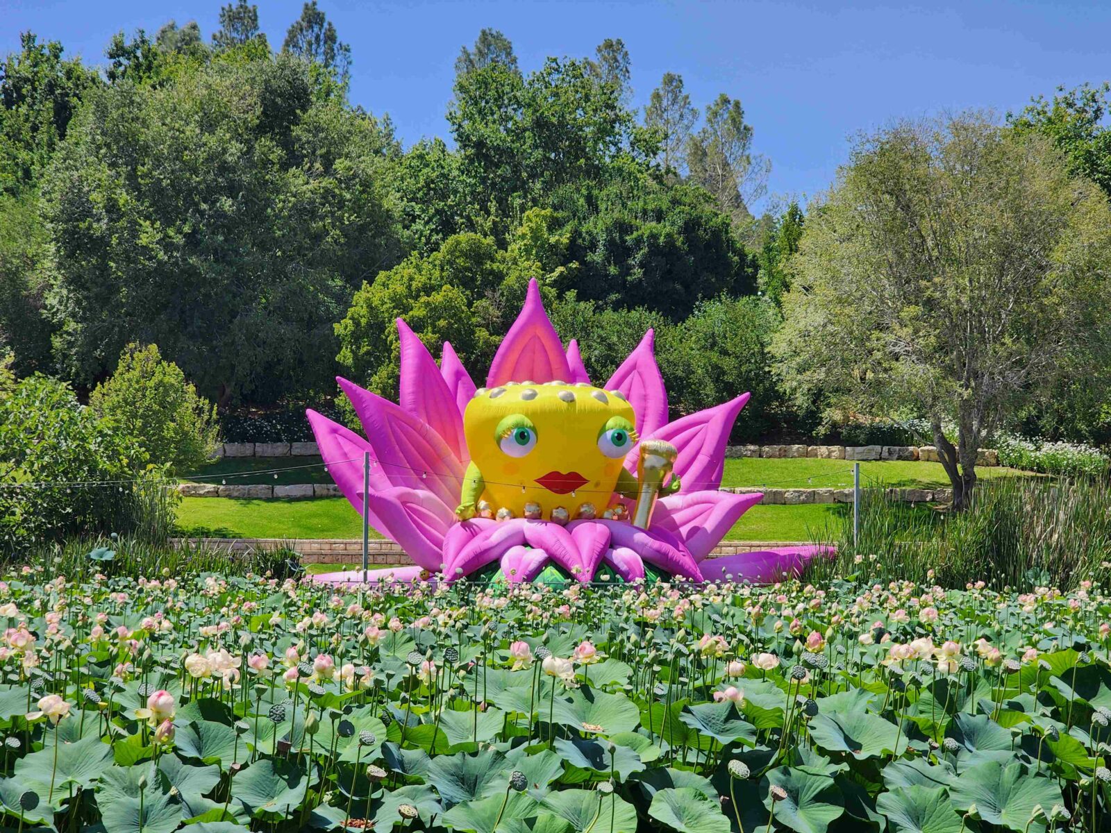 Лето 2023 года в ботаническом саду Гиват Рам, Иерусалим. Когда монстры ...